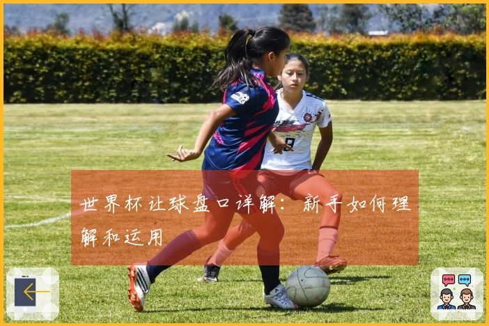 世界杯让球盘口详解：新手如何理解和运用