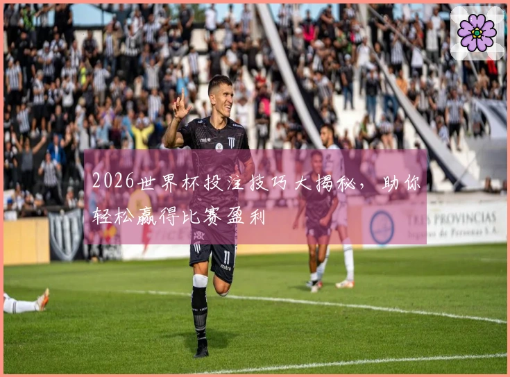 2026世界杯投注技巧大揭秘，助你轻松赢得比赛盈利