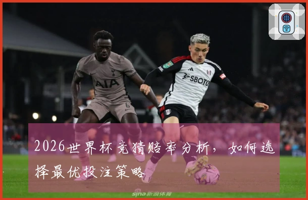 2026世界杯竞猜赔率分析，如何选择最优投注策略