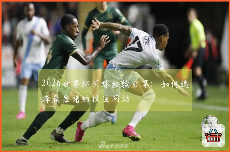 2026世界杯买球经验分享：如何选择最靠谱的投注网站