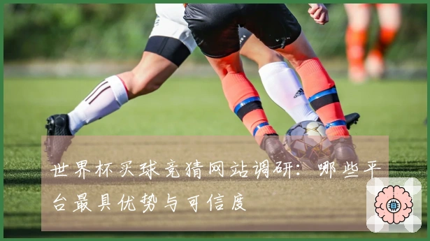 世界杯买球竞猜网站调研：哪些平台最具优势与可信度