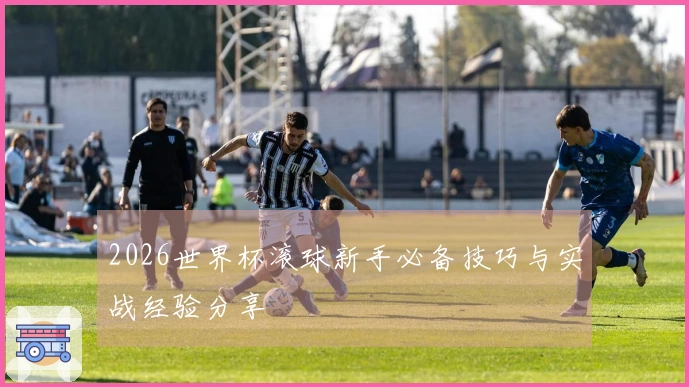 2026世界杯滚球新手必备技巧与实战经验分享