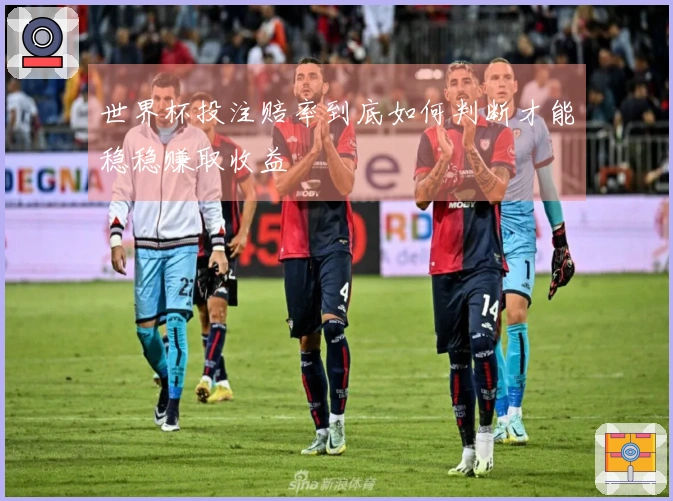 世界杯投注赔率到底如何判断才能稳稳赚取收益
