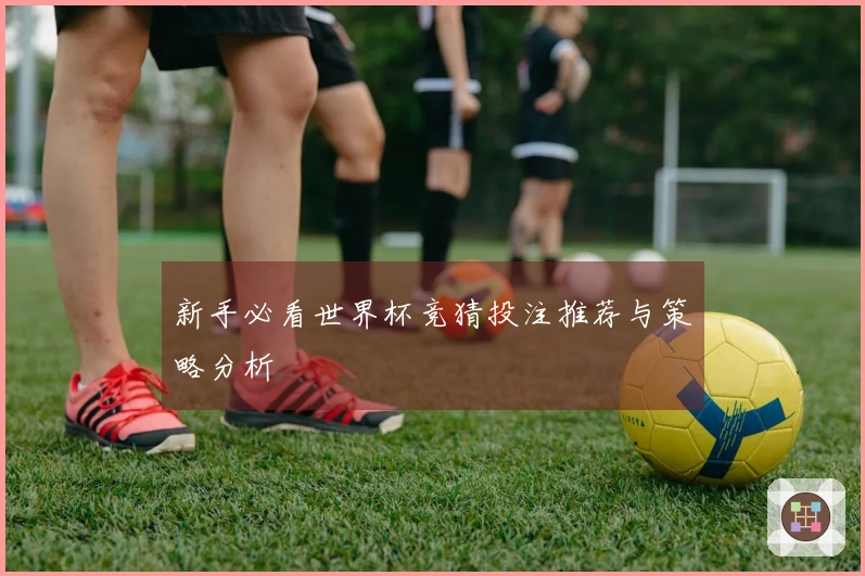 新手必看世界杯竞猜投注推荐与策略分析