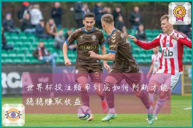 世界杯投注赔率到底如何判断才能稳稳赚取收益