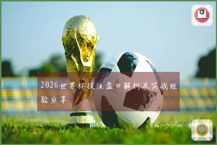 2026世界杯投注盘口解析及实战经验分享