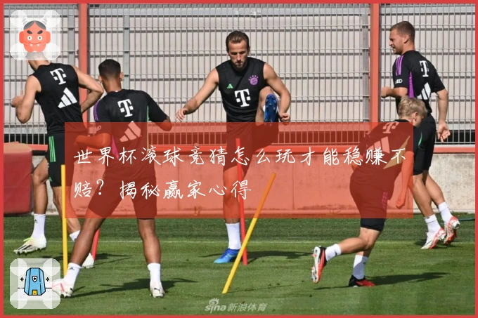 世界杯滚球竞猜怎么玩才能稳赚不赔？揭秘赢家心得