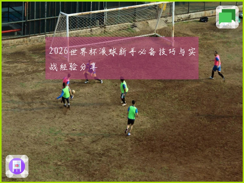 2026世界杯滚球新手必备技巧与实战经验分享