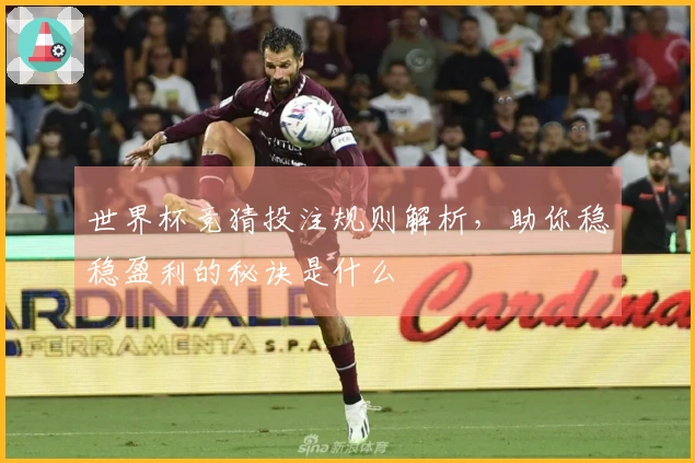 世界杯竞猜投注规则解析，助你稳稳盈利的秘诀是什么