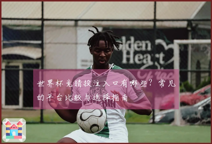 世界杯竞猜投注入口有哪些？常见的平台比较与选择指南