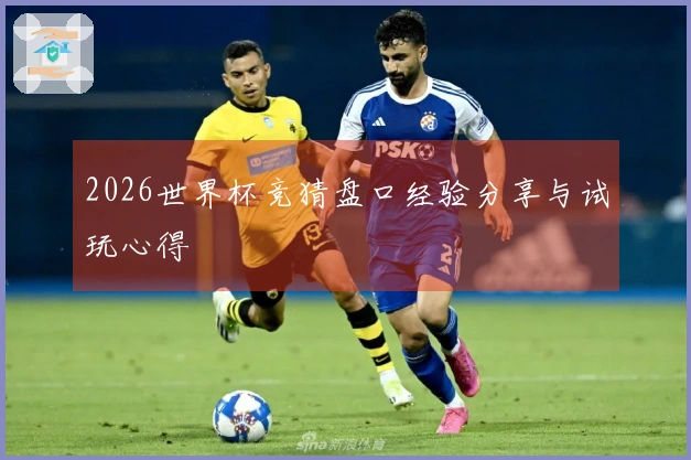 2026世界杯竞猜盘口经验分享与试玩心得
