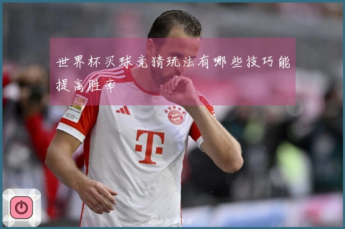 世界杯买球竞猜玩法有哪些技巧能提高胜率