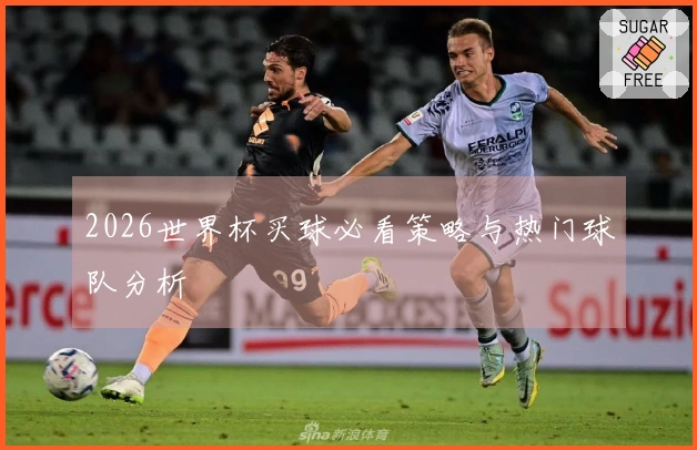 2026世界杯买球必看策略与热门球队分析