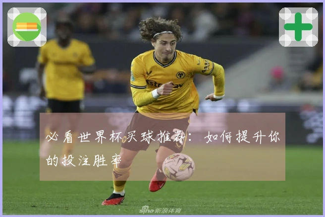 必看世界杯买球推荐：如何提升你的投注胜率