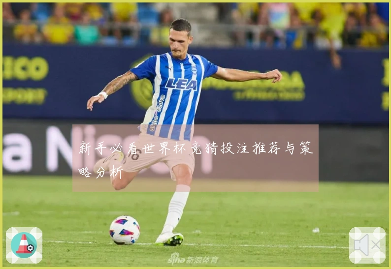 新手必看世界杯竞猜投注推荐与策略分析